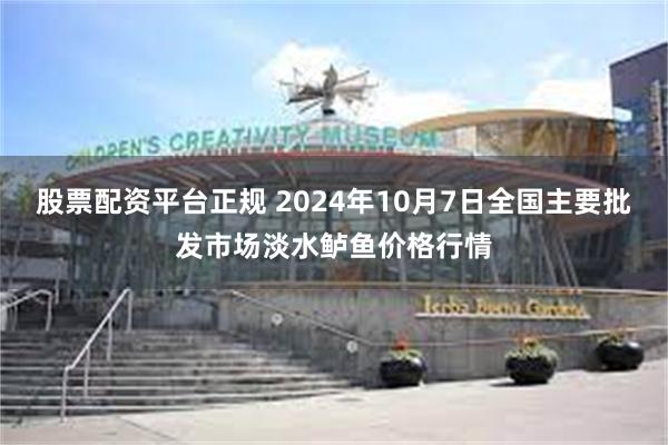 股票配资平台正规 2024年10月7日全国主要批发市场淡水鲈鱼价格行情