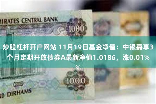 炒股杠杆开户网站 11月19日基金净值：中银嘉享3个月定期开放债券A最新净值1.0186，涨0.01%