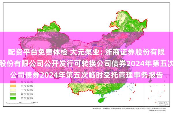 配资平台免费体检 大元泵业: 浙商证券股份有限公司关于浙江大元泵业股份有限公司公开发行可转换公司债券2024年第五次临时受托管理事务报告