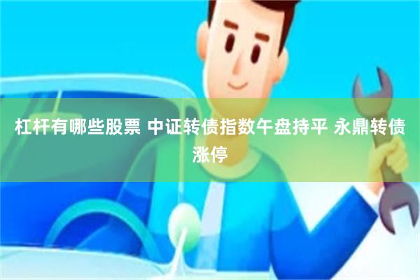 杠杆有哪些股票 中证转债指数午盘持平 永鼎转债涨停