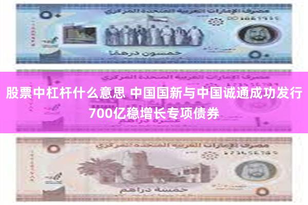 股票中杠杆什么意思 中国国新与中国诚通成功发行700亿稳增长专项债券