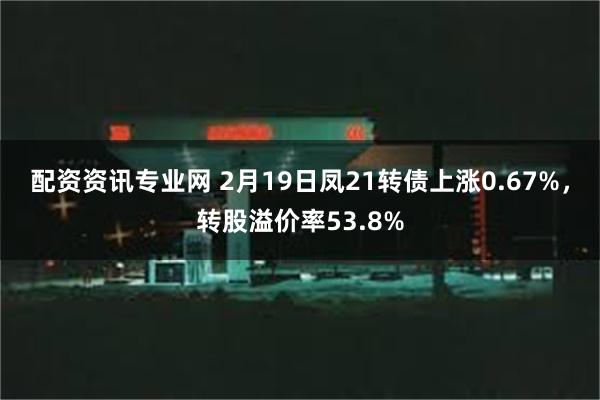 配资资讯专业网 2月19日凤21转债上涨0.67%，转股溢价率53.8%