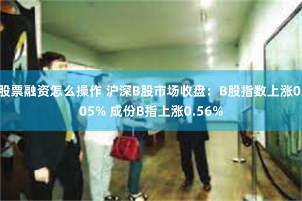 股票融资怎么操作 沪深B股市场收盘：B股指数上涨0.05% 成份B指上涨0.56%