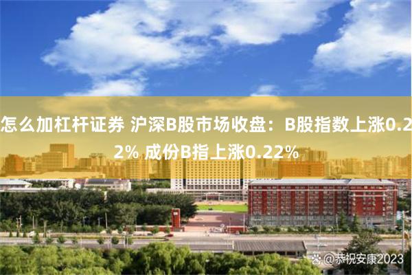 怎么加杠杆证券 沪深B股市场收盘：B股指数上涨0.22% 成份B指上涨0.22%