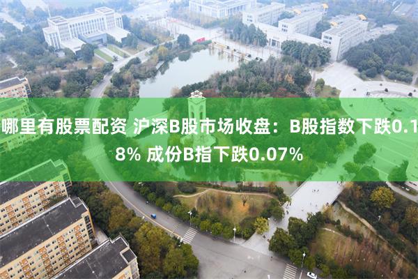 哪里有股票配资 沪深B股市场收盘：B股指数下跌0.18% 成份B指下跌0.07%