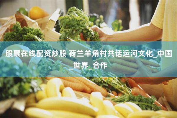 股票在线配资炒股 荷兰羊角村共话运河文化_中国_世界_合作